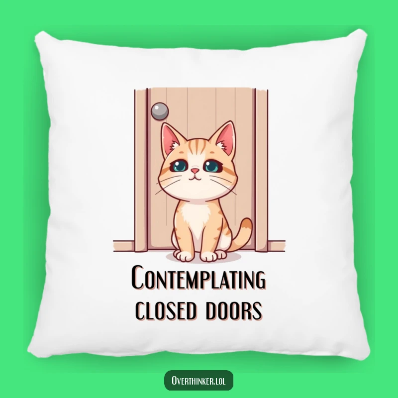 Funny Cat Door Pillow: Feline Focus, Comfy and Mysterious Decor